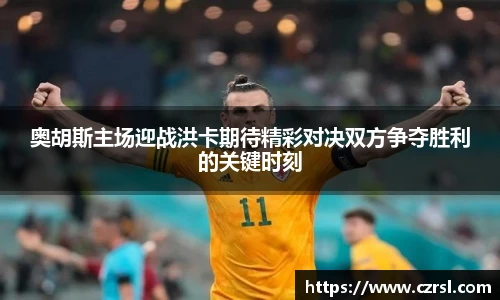 奥胡斯主场迎战洪卡期待精彩对决双方争夺胜利的关键时刻