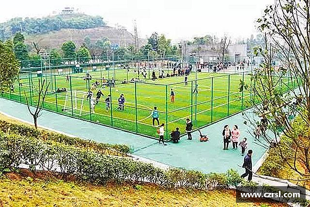 介绍球速体育官方网址